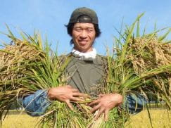 雲雀農園(秋田県)